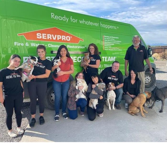 SERVPRO team with their pets in front of a van