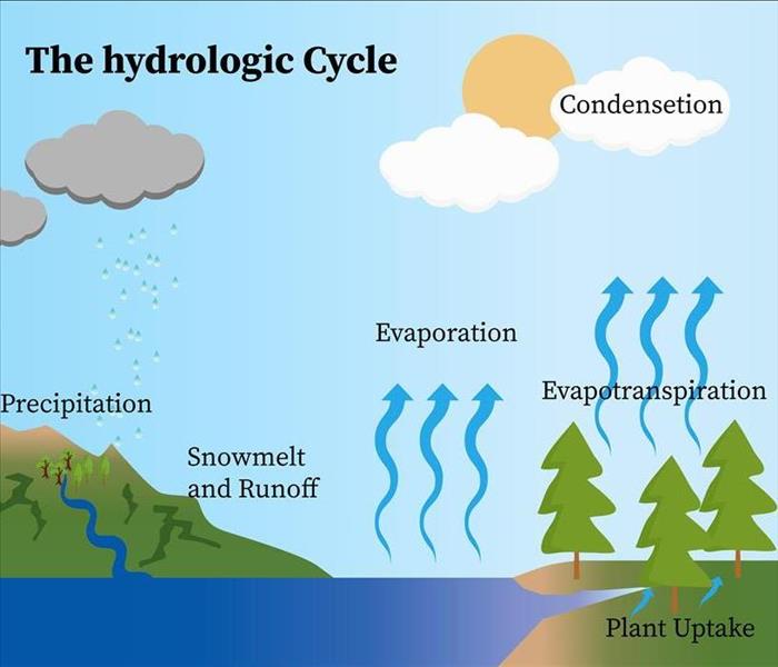 picture of hydrologic cycle
