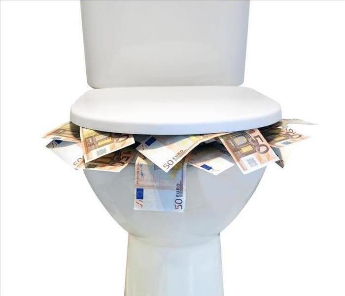 Toilet with Money in it