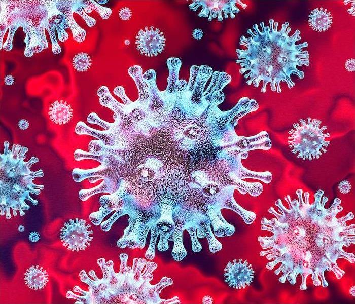 blue-green images of cornona viruses