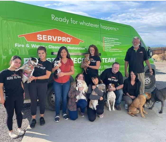 SERVPRO team with their pets in front of a van
